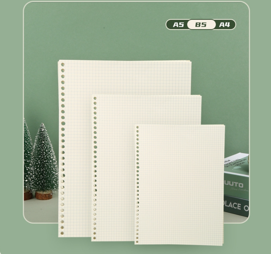 A5 B5 Line Grid 20Holes Loose- - Notebook Dotted A5 评论和价格